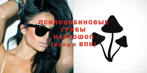 ПСИЛОЦИБИНОВЫЕ ГРИБЫ Рославль