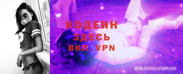 сатива Арсеньев