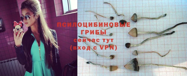 сатива Арсеньев